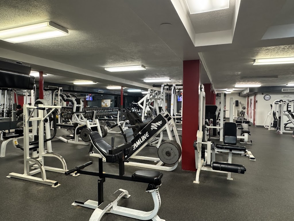  Body Systems Fitness