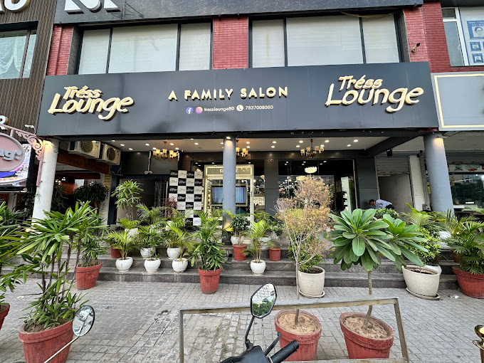 Tress Lounge A Family Salon Best Luxury Salon In Sector 80 Mohali