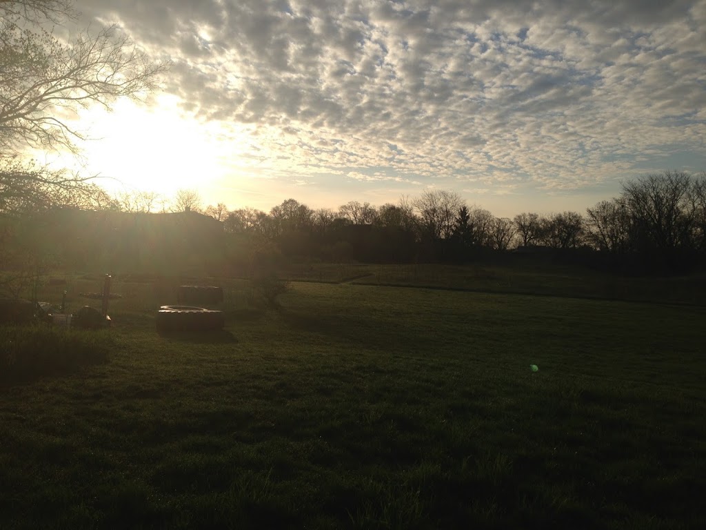  Cody Campbell Fitness