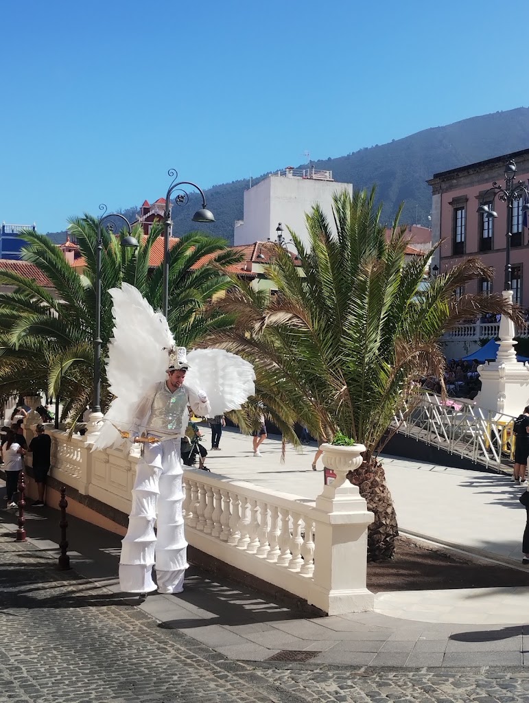Skatepark La Orotava