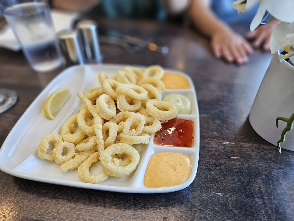 Squid