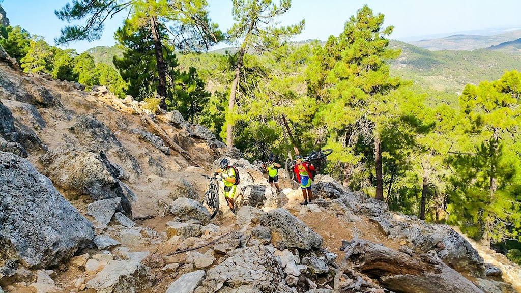 Bicimarket-Nazarbike, Dos Hermanas