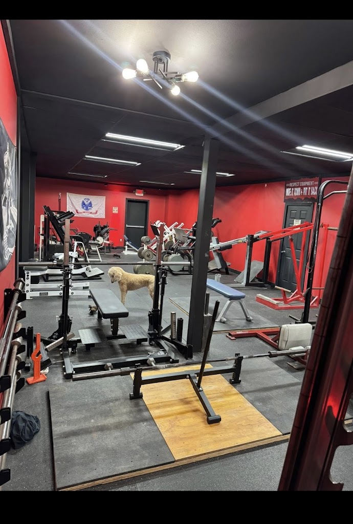  Fitness Mafia Athletics