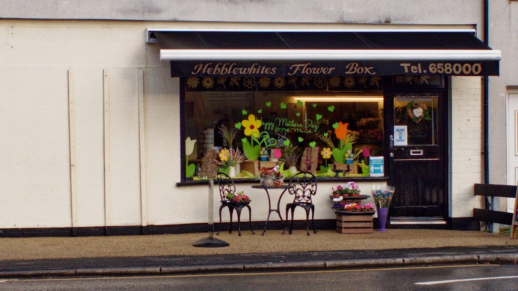 Hebblewhite's Flower Box