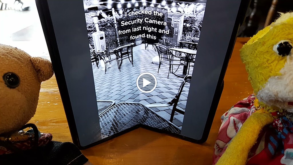 Bar La Muga — Videos