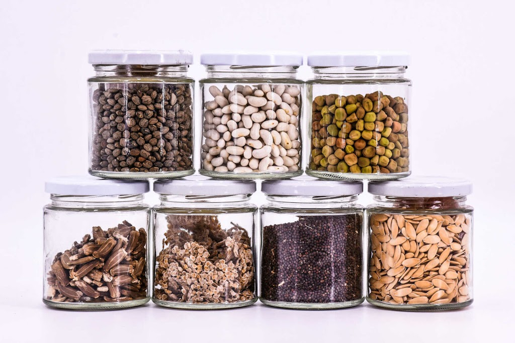 Fundacio Miquel Agusti