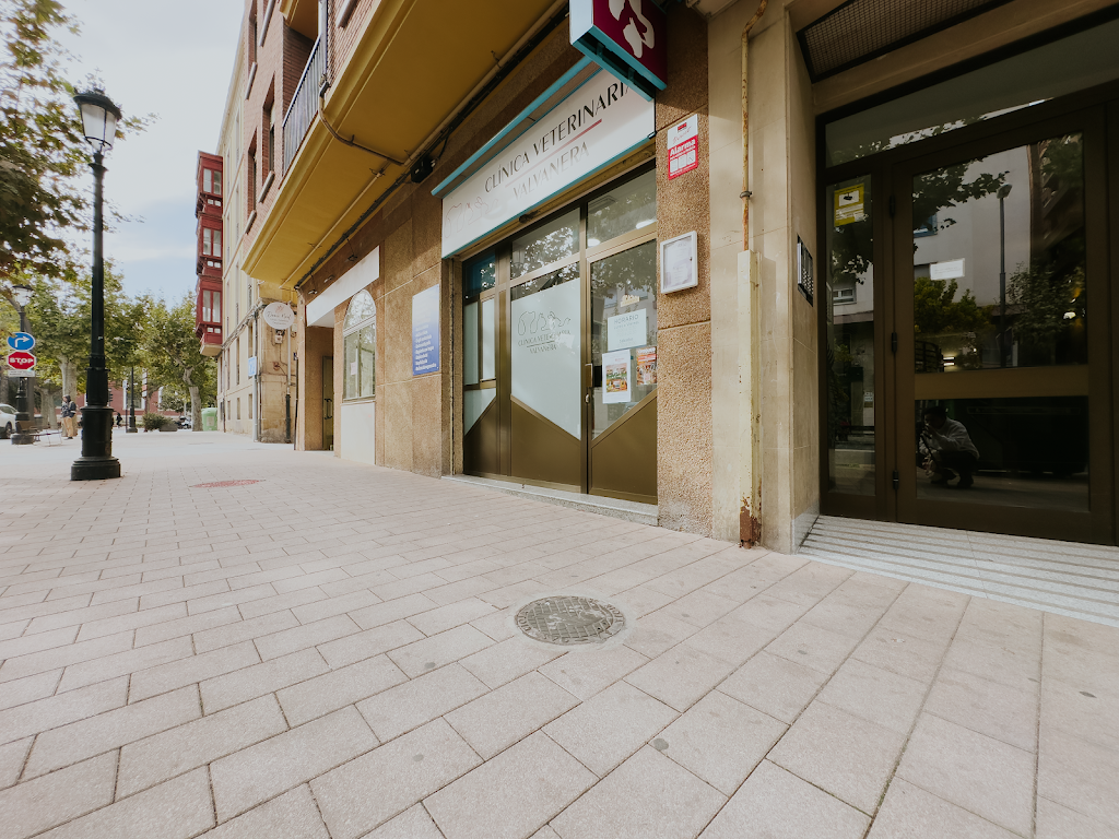 Clinica Veterinaria Valvanera