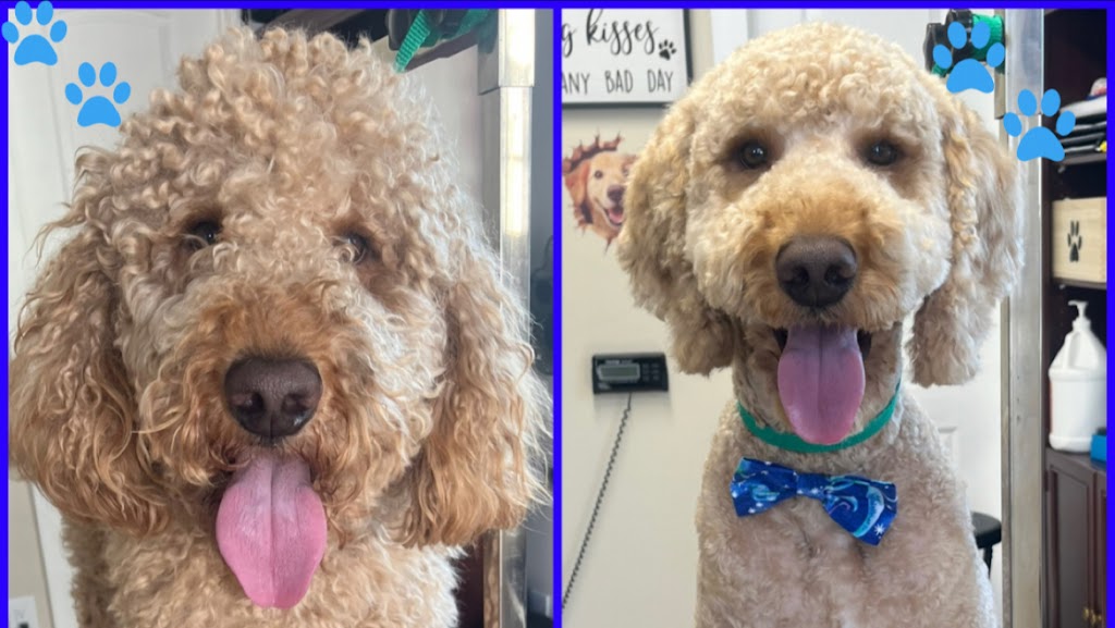 Pawfect Doggies LLC in Salt Lake City