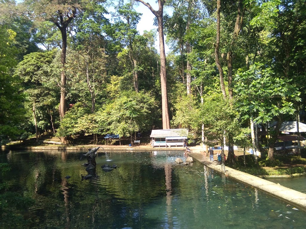 Bumi Perkemahan Desa Pajajar