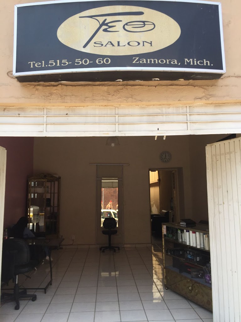 Teo Salon