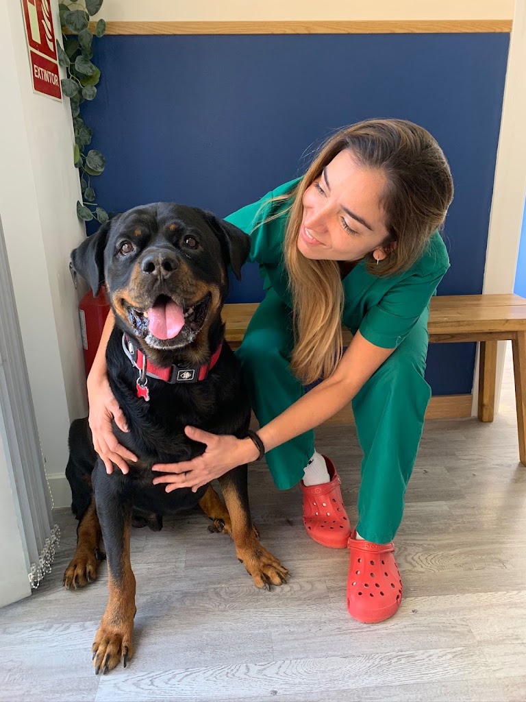 Veter Centro Veterinario — Perro