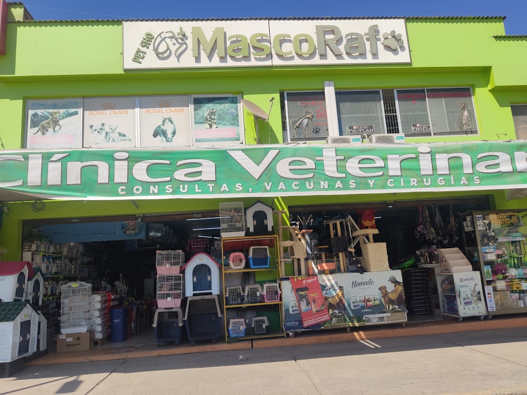 Clínica Veterinaria MascoRaf en Alto Hospicio