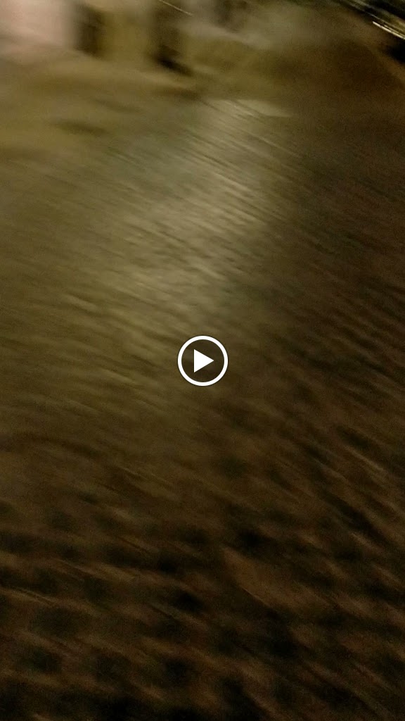Mare Nostrum Restaurante — Videos