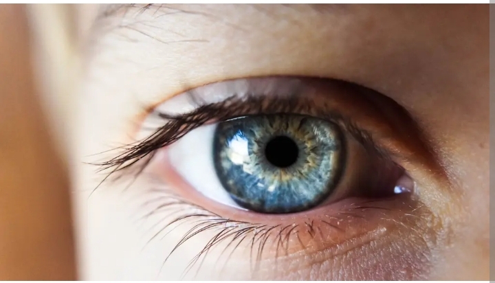 Eye Clinic