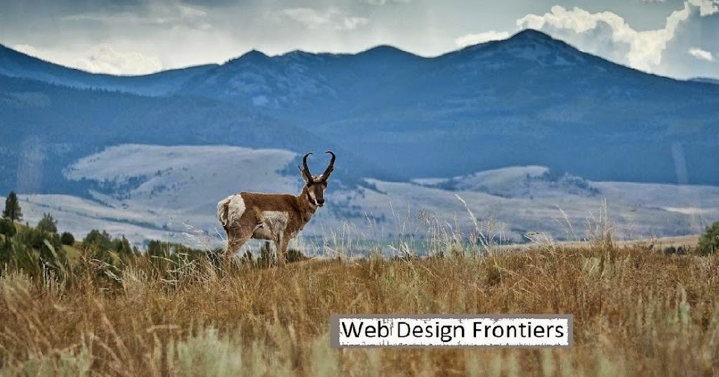 Living Frontiers Llc