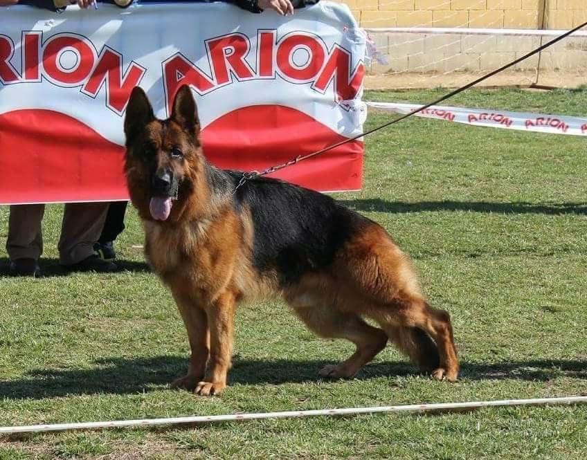 Residencia Canina El Cerrolen