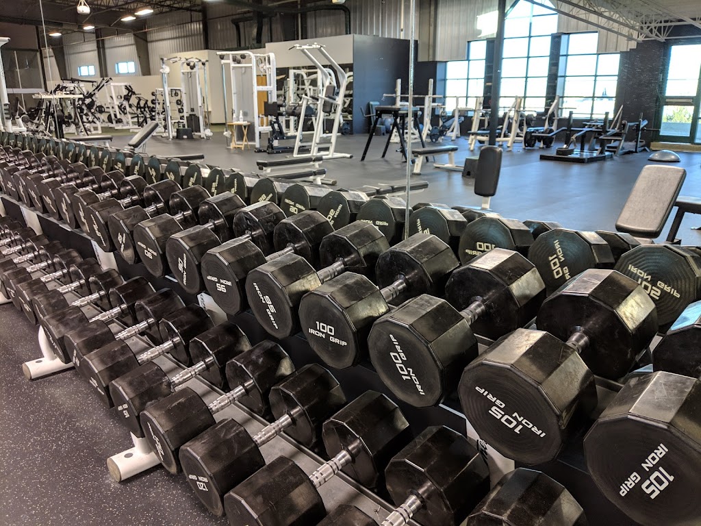  LifeTime Health and Fitness