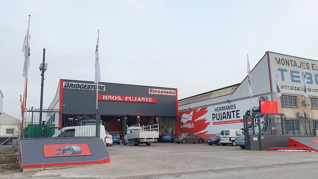 Hermanos Pujante S.L — Del propietario