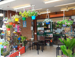 645a0303743db819a216f038 的照片