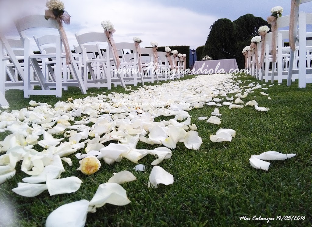 Floristeria Guardiola