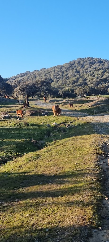 La canchuela