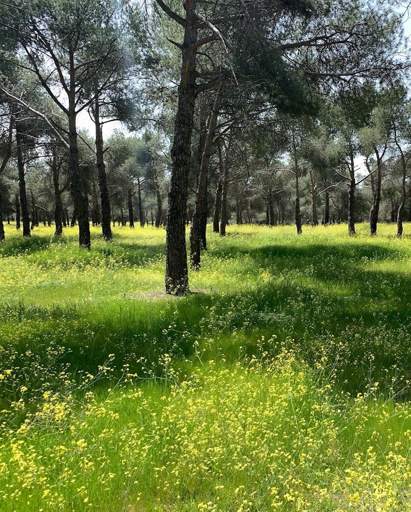 Parque de Las Presillas