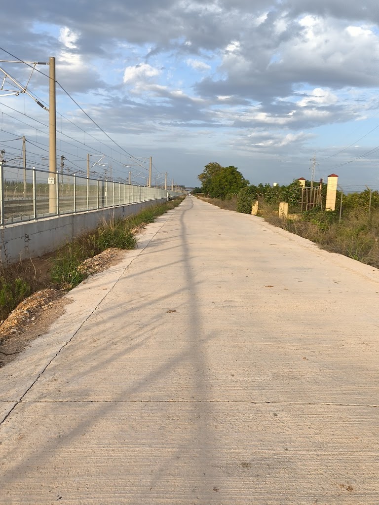 Ruta Del Colesterol