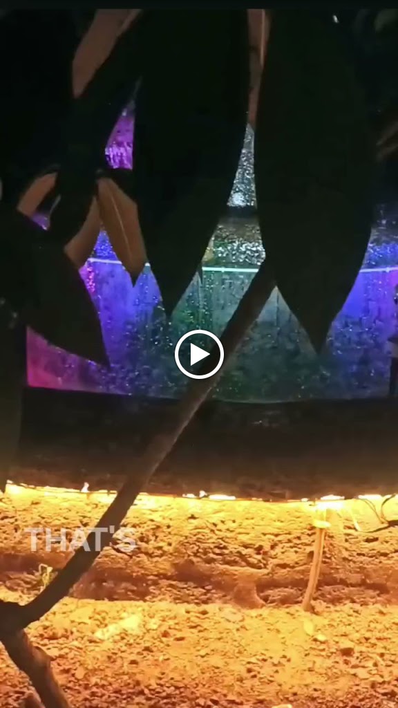 Videos