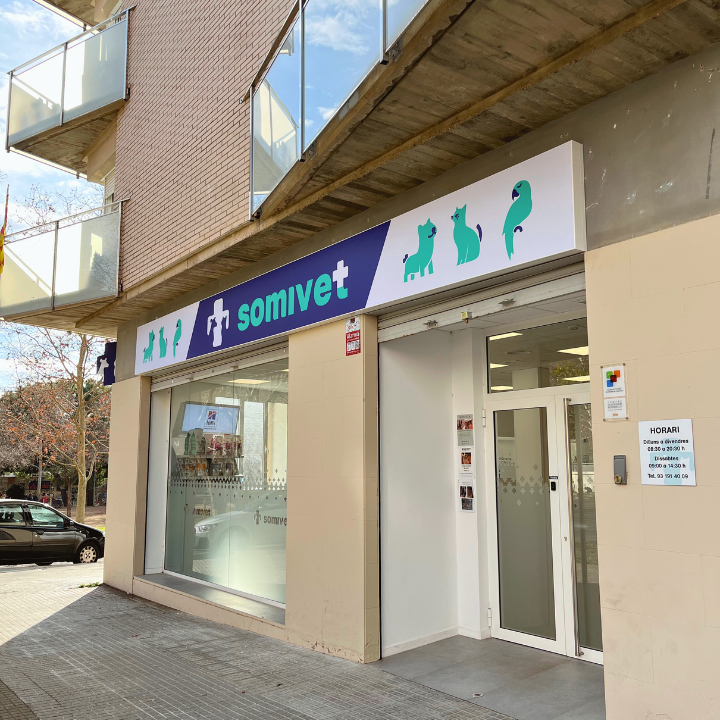 Somivet Clinica Veterinaria Terrassa — Del propietario