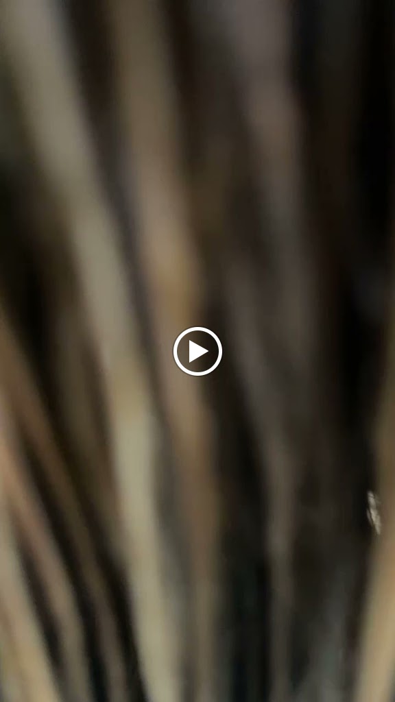 PELUQUERIAS LOW COST — Videos