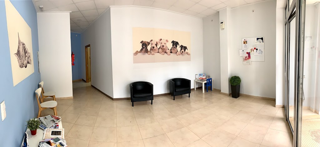 Centro Veterinario Salut Animal