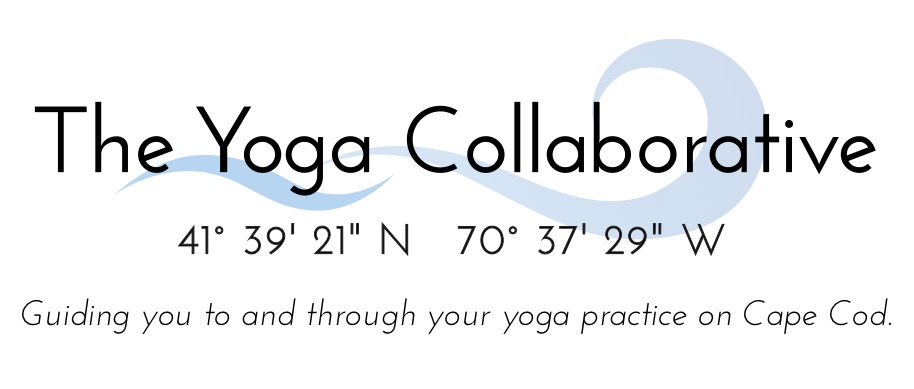  The Yoga Collaborative