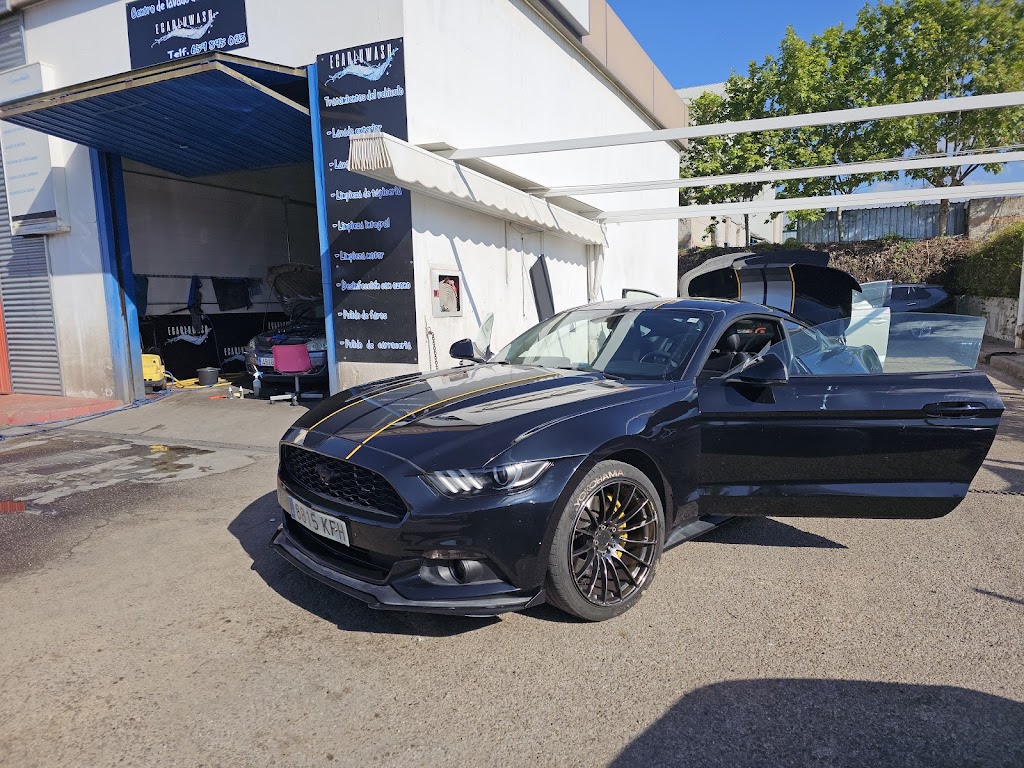Ecarluwash
