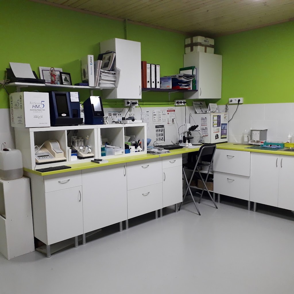 Centro Veterinario Lobera — Del propietario