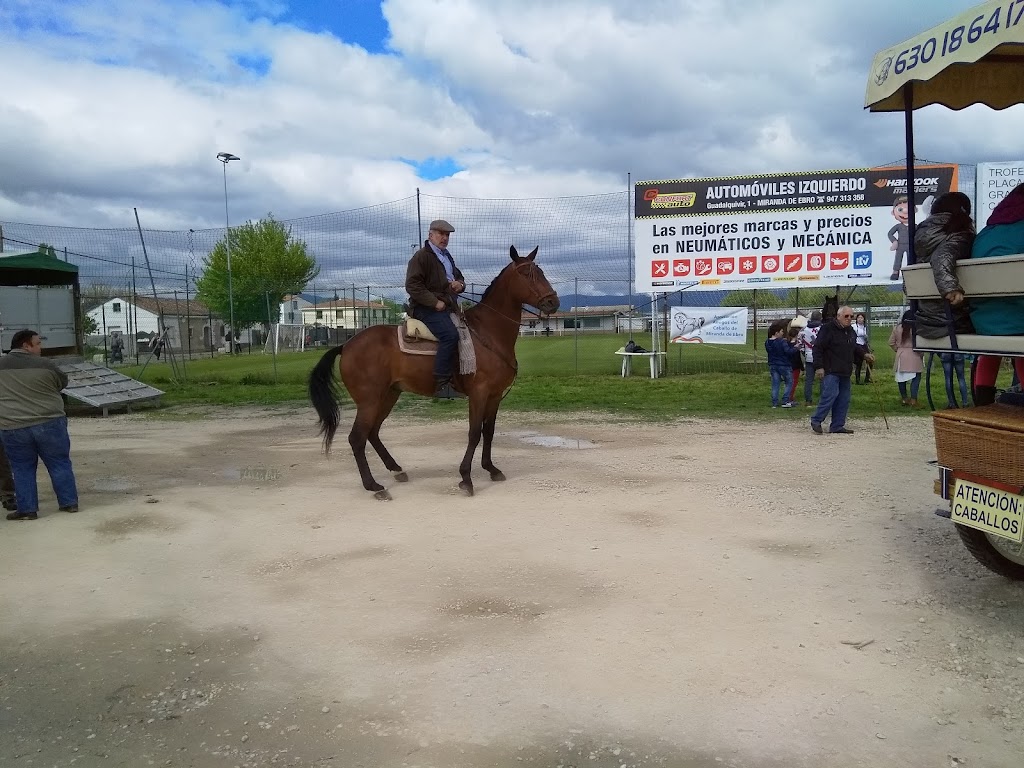 Marginal mondego Spain sl