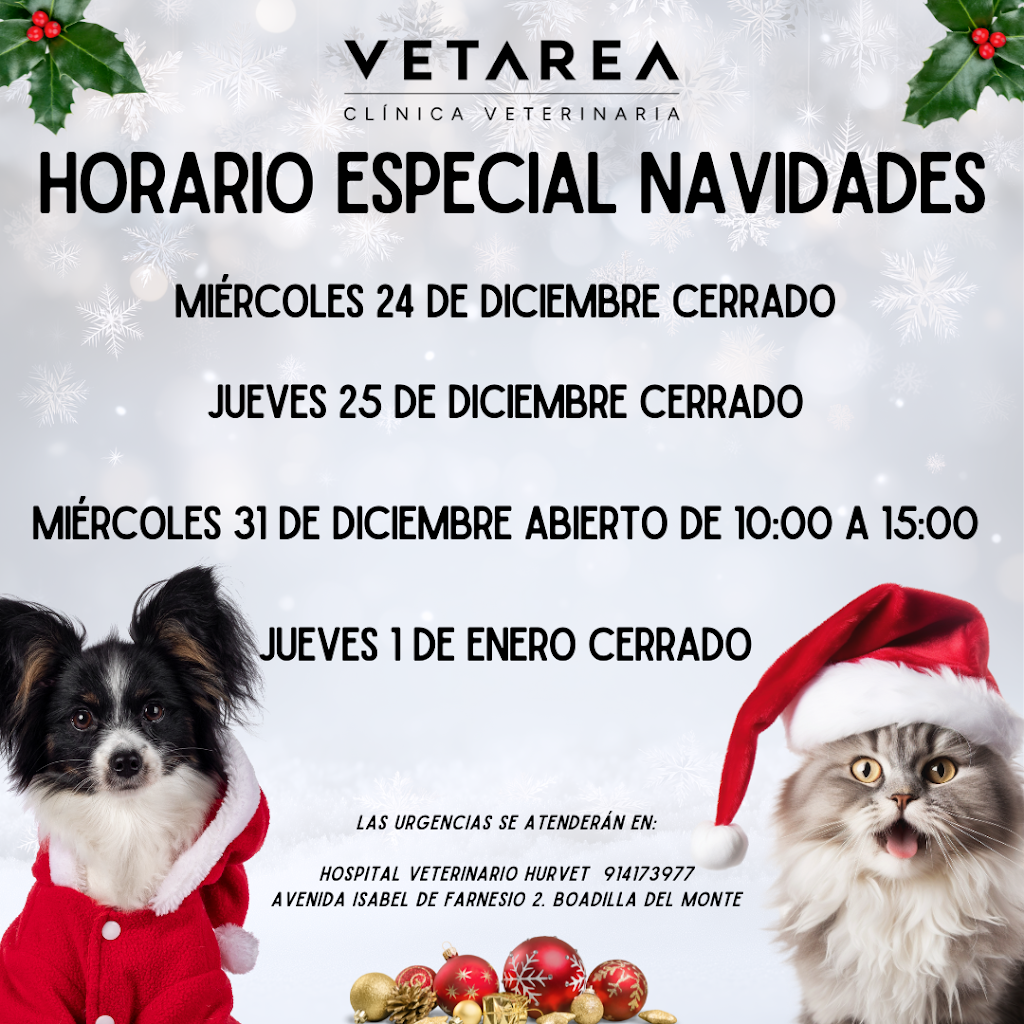 VETAREA Clinica Veterinaria — Mas recientes