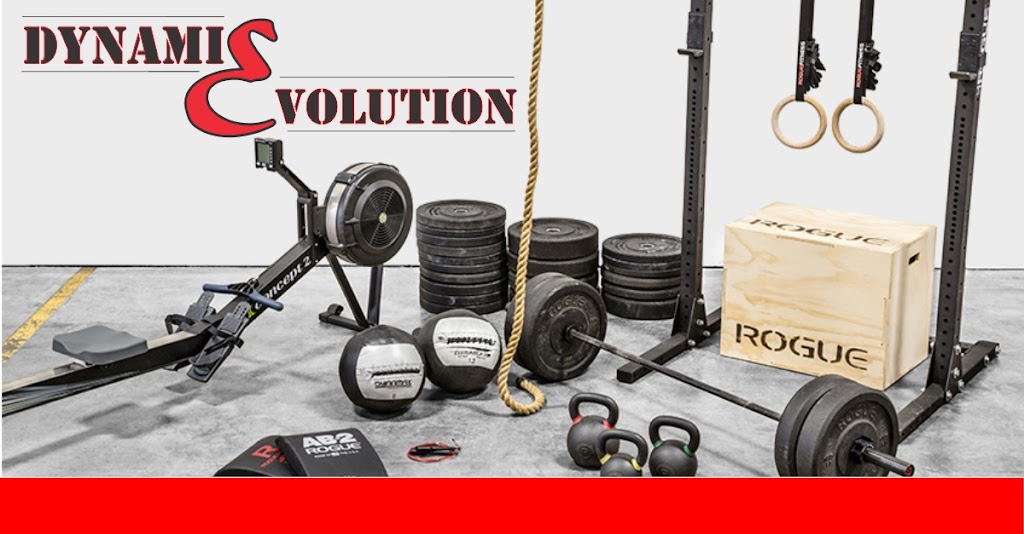  DYNAMIC EVOLUTION, LLC