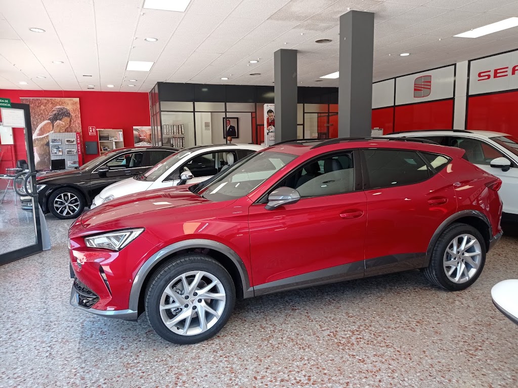 Talleres Ribarroja S.L. — Concesionario de automoviles