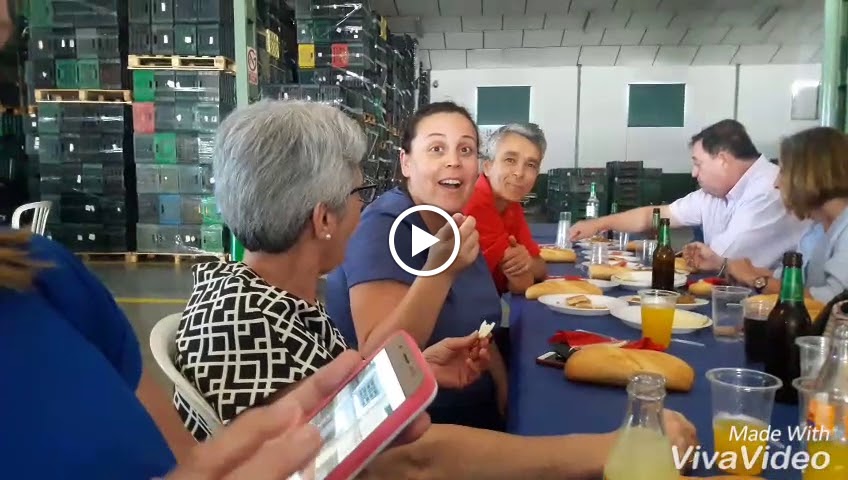 Autoescuela Elite — Videos