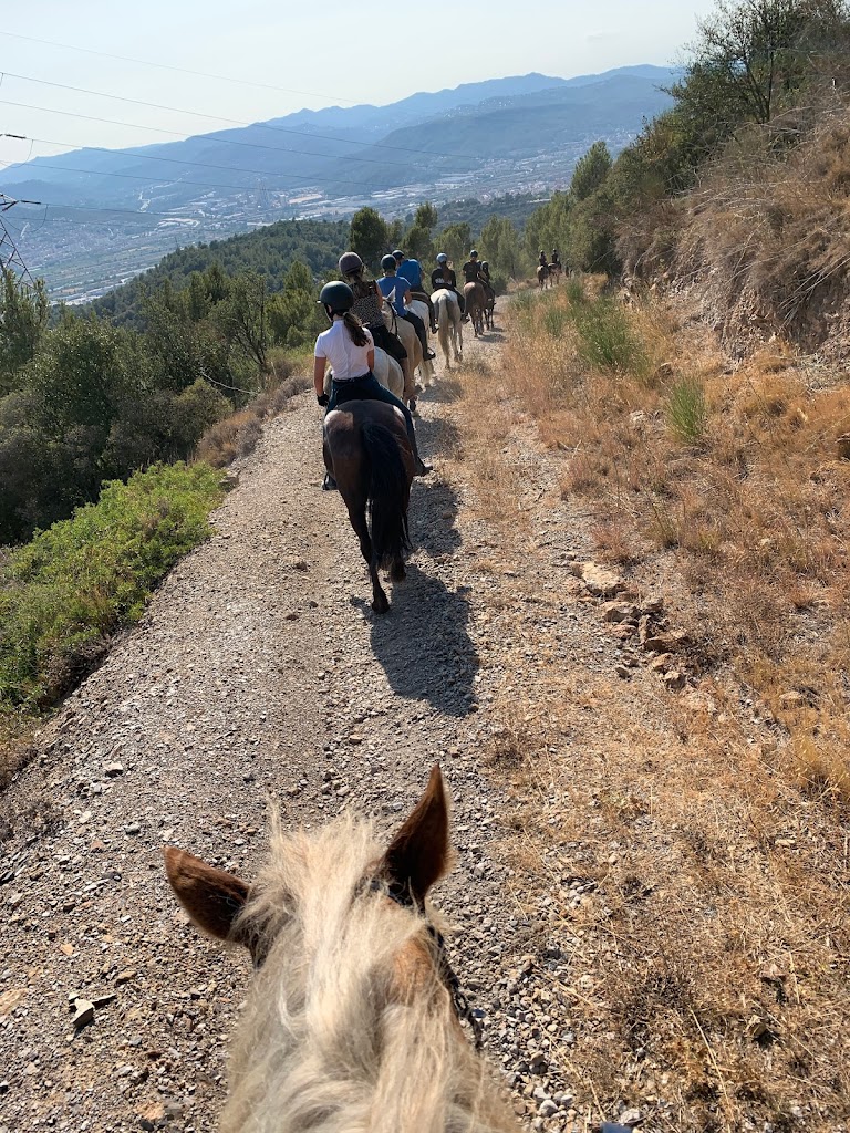 Club Hipico Sol i Terra