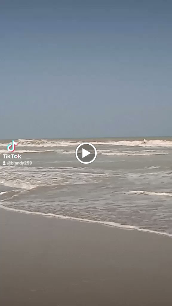 Bar El Pescaito — Videos