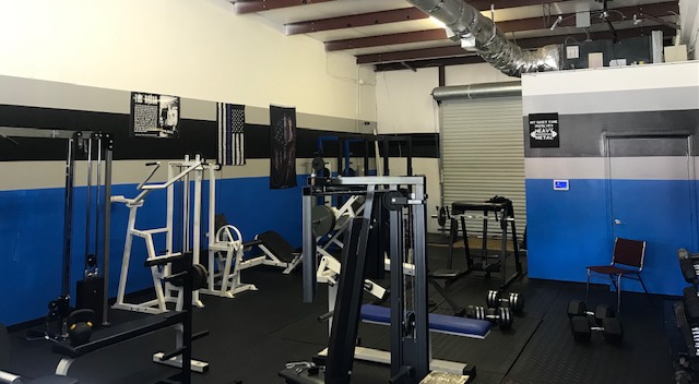  FITVIEW WELLNESS LLC