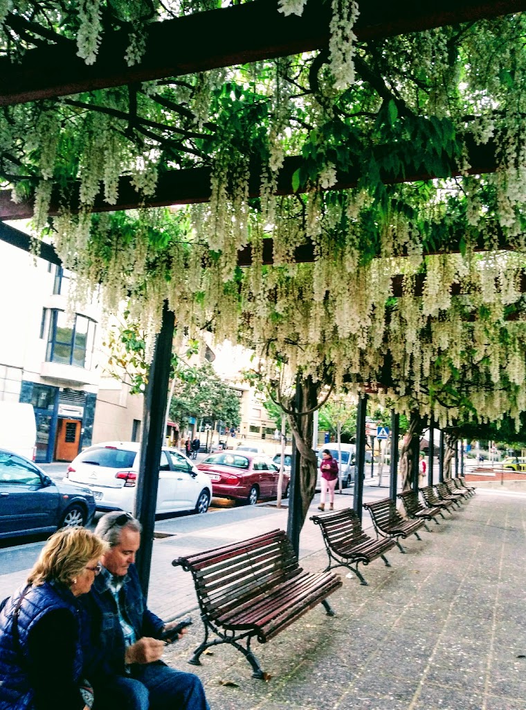 Restaurant Nuevo Mundo — Ambiente