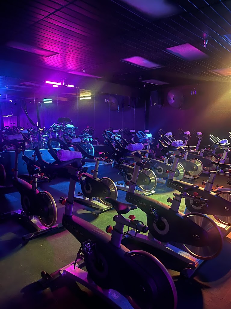  Evolution Cycle Studio
