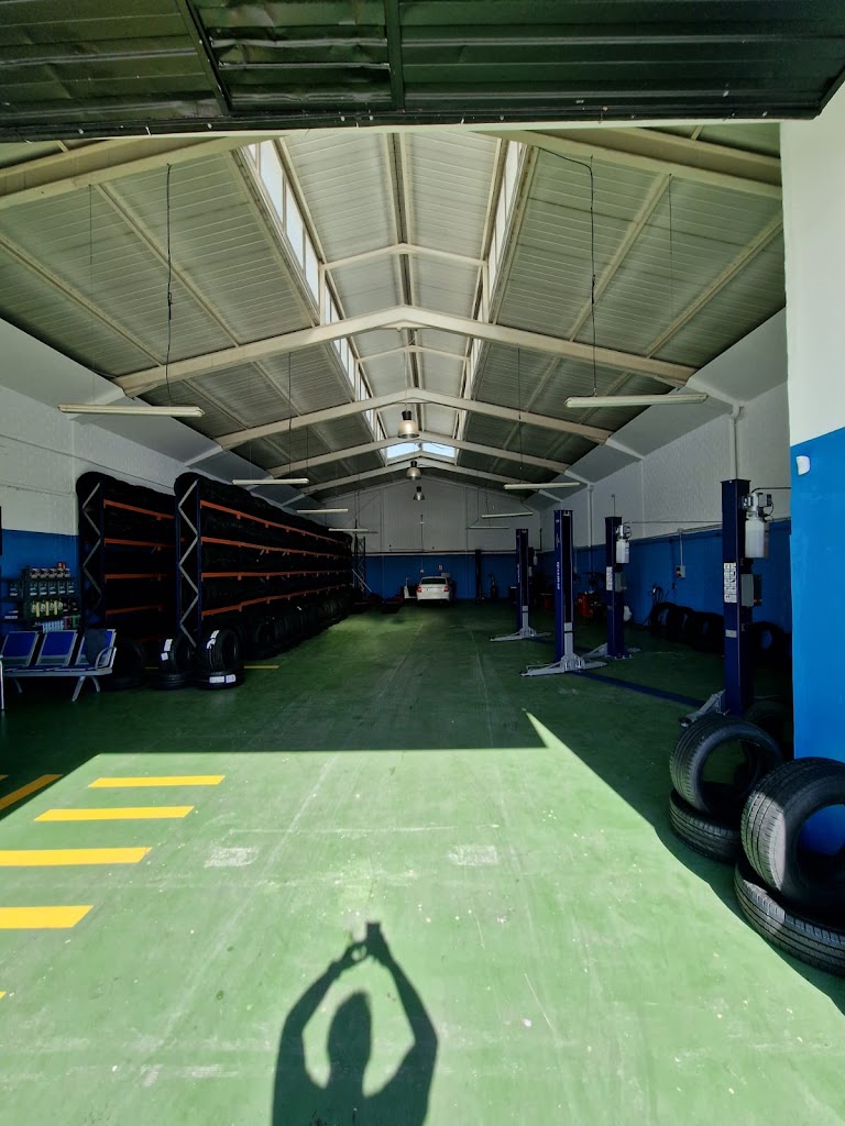 Neumaticos Musleh — Interior