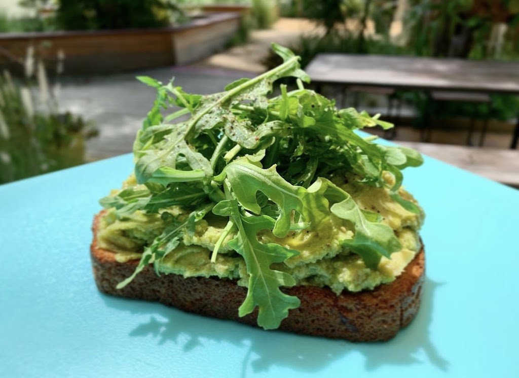 Avocado toast