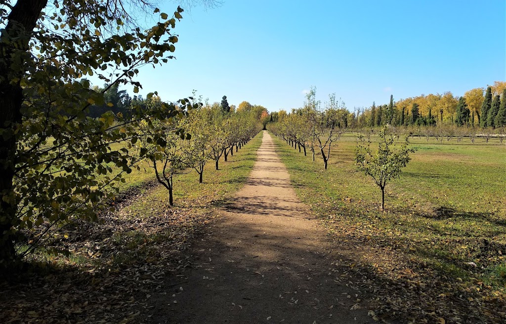 Paseo de la primavera