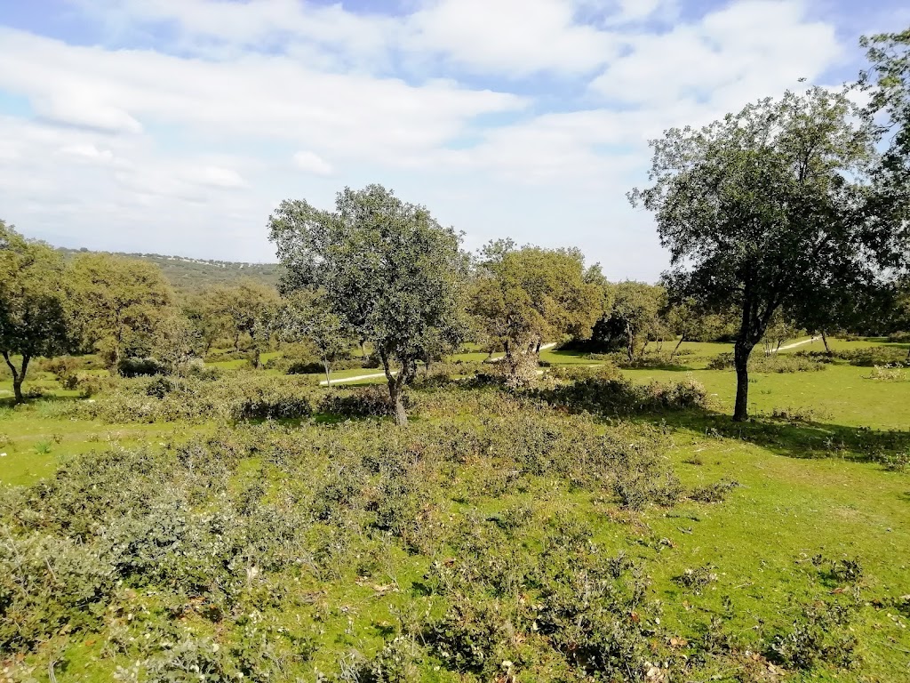 Dehesa de San Sebastian de los Reyes