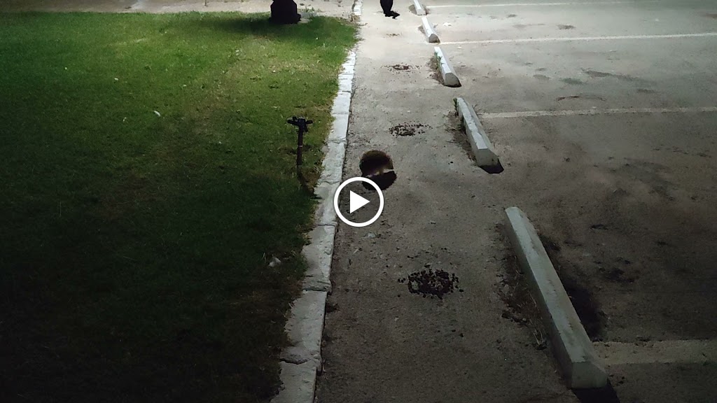 Residencia personas mayores Isdabe — Videos