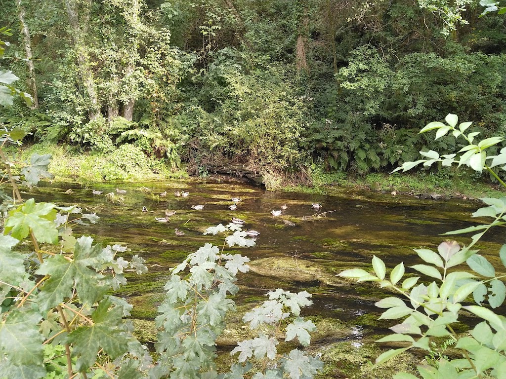 Area Recreativa A Madalena